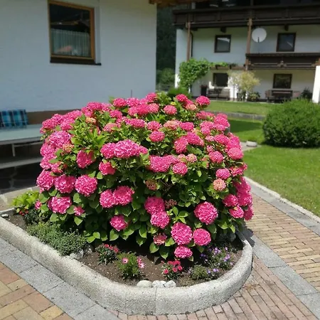 Haus Wildauer 迈尔霍芬