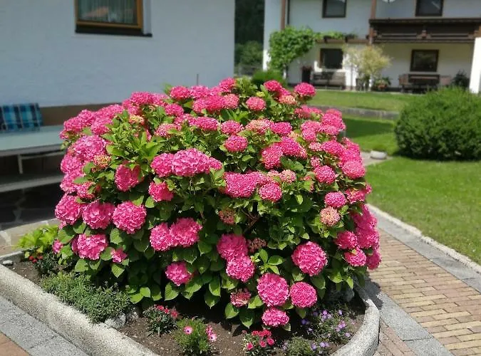 Haus Wildauer Mayrhofen